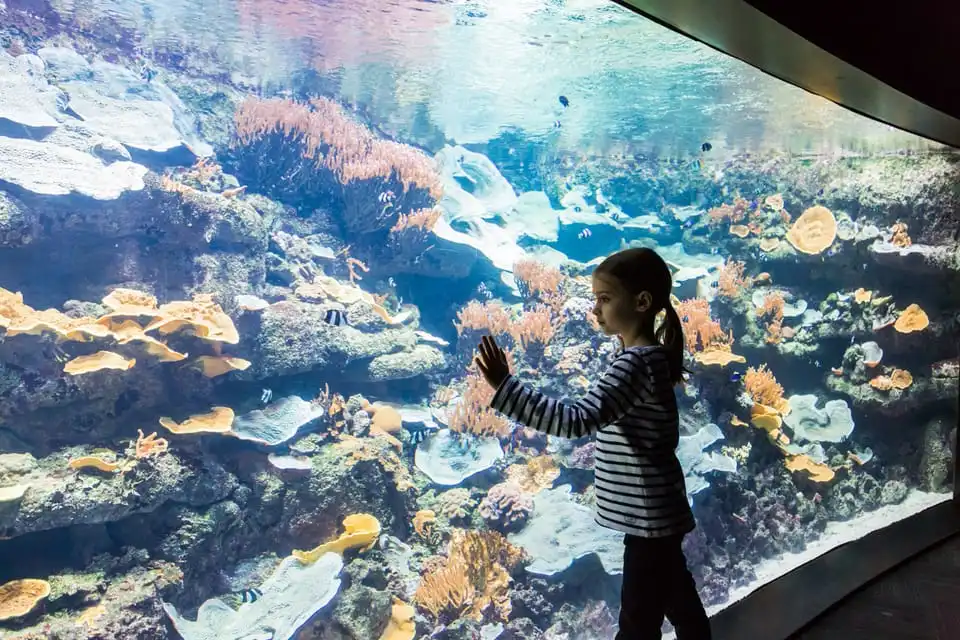 Aquarium-Paris
